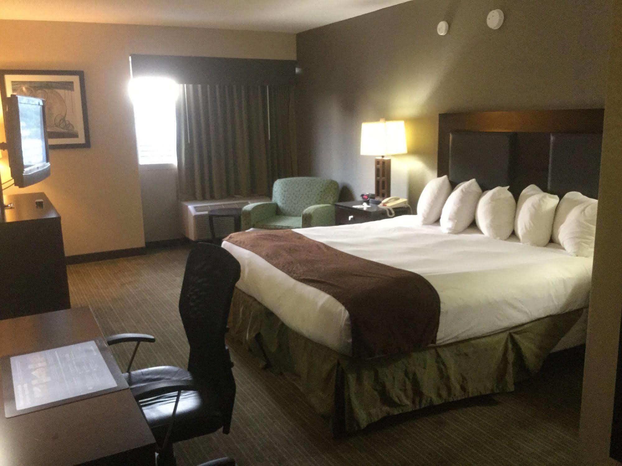 Quality Inn & Suites Charleston - Civic Center Eksteriør billede
